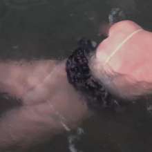 custardcouple: Wet Clothes In Public 1