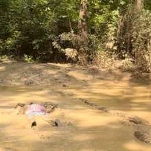 Bill Brasky: My mud adventure