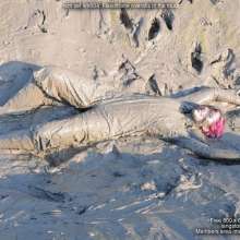 DungeonMasterOne: Maude takes a mudbath in flexothane dungarees and hunter wellies!