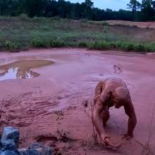 TannerQS: Almost Caught in Construction Mud (camera 1)