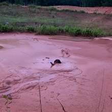 TannerQS: Almost Caught in Construction Mud (camera 1)