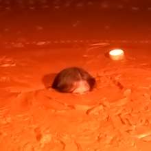 TannerQS: Blue Collared Quicksand (First Angle) with a trailer!