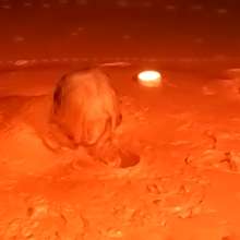 TannerQS: Blue Collared Quicksand (First Angle) with a trailer!