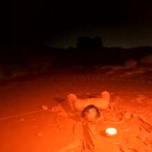 TannerQS: Blue Collared Quicksand (First Angle) with a trailer!