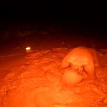 TannerQS: Blue Collared Quicksand (First Angle) with a trailer!