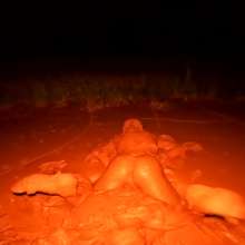 TannerQS: Blue Collared Quicksand (First Angle) with a trailer!