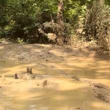 Bill Brasky: My mud adventure