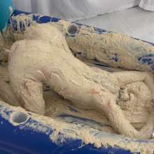 Messygirl: Glop Covered Dakota