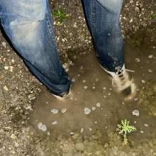 wetmart2240: Playing with Mud