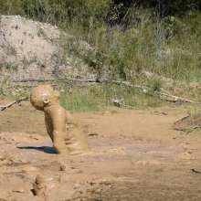 RyuuWammer: More Fun in Creamy Clay
