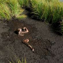 dlodoski: Darby's Deep Bog Arousal--Photos