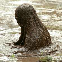 dlodoski: Princess Exploring a Peat Pit--Photos
