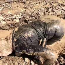 custardcouple: Muddy Desperate Housewife