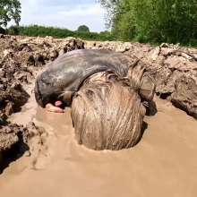 custardcouple: Muddy Desperate Housewife