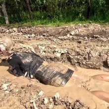 custardcouple: Muddy Desperate Housewife