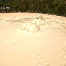 Jayce: Multiple Muddy Orgasms after Escape from White Muck!