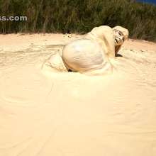 Jayce: Multiple Muddy Orgasms after Escape from White Muck!