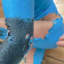 Your Wet Cat: Naked Painting of Pictures