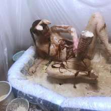 VioletVixen: Nasty Yucky Piggy Wallows in Slop Part 3 Humiliating Orgasm