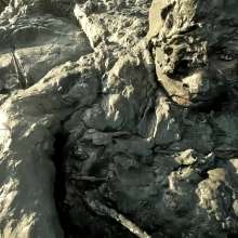 TannerQS: Public Tidal Mud Sinking (People saw me when I was neck deep)