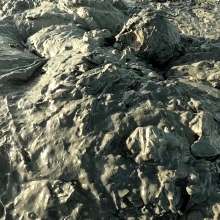 TannerQS: Public Tidal Mud Sinking (People saw me when I was neck deep)