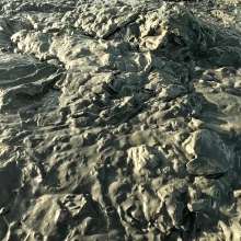 TannerQS: Public Tidal Mud Sinking (People saw me when I was neck deep)