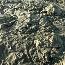 TannerQS: Public Tidal Mud Sinking (People saw me when I was neck deep)