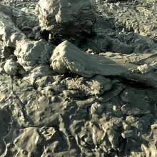 TannerQS: Public Tidal Mud Sinking (People saw me when I was neck deep)