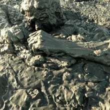 TannerQS: Public Tidal Mud Sinking (People saw me when I was neck deep)