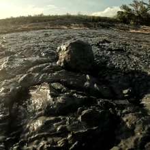 TannerQS: Public Tidal Mud Sinking (People saw me when I was neck deep)