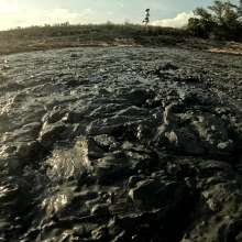 TannerQS: Public Tidal Mud Sinking (People saw me when I was neck deep)