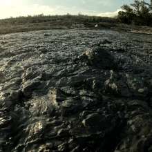TannerQS: Public Tidal Mud Sinking (People saw me when I was neck deep)