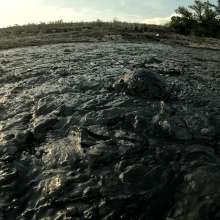 TannerQS: Public Tidal Mud Sinking (People saw me when I was neck deep)