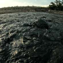 TannerQS: Public Tidal Mud Sinking (People saw me when I was neck deep)