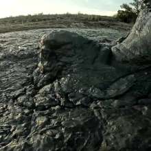 TannerQS: Public Tidal Mud Sinking (People saw me when I was neck deep)