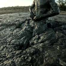 TannerQS: Public Tidal Mud Sinking (People saw me when I was neck deep)