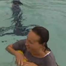 mad_mick_at: Reporting on pool-safety