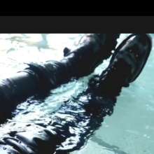 Mikewet: 