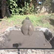 Darkabyss445: Tempting, Sensual, Sexy and Naughty in Mud