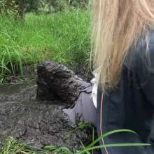 WetandMuddy: Video 107--Getting Down and Dirty