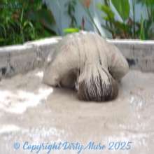 Dirty Muse: Bondage Falling in Mud