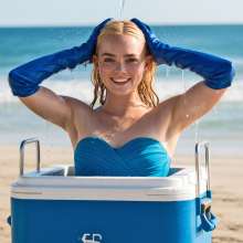 Sleazoid44: You Can Put Beer In Your Cooler...
