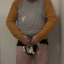 AndyPied: 