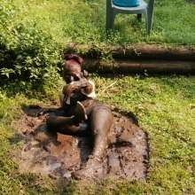 Thefetishgirl: The Muddy Mistress