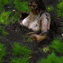 QS4Ever: Tiny Soya in Quaking Bog